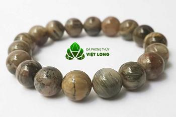 Vòng gỗ hóa thạch 
