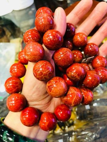 vòng san hô tự nhiên 100%